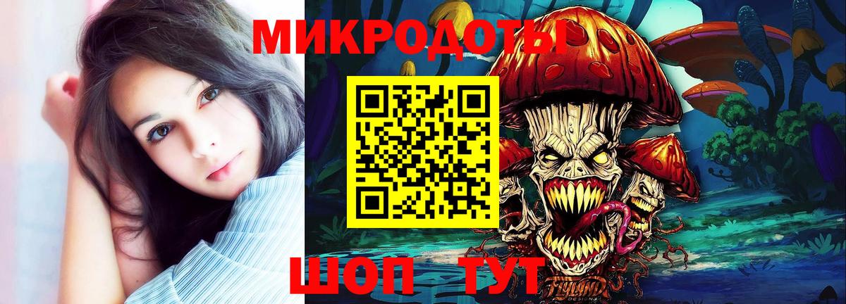 Псилоцибиновые грибы Psilocybe Краснокамск