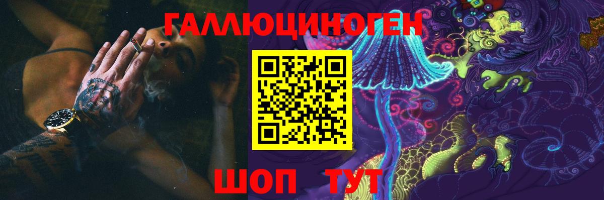 Галлюциногенные грибы Psilocybe  Вход с VPN  Краснокамск 